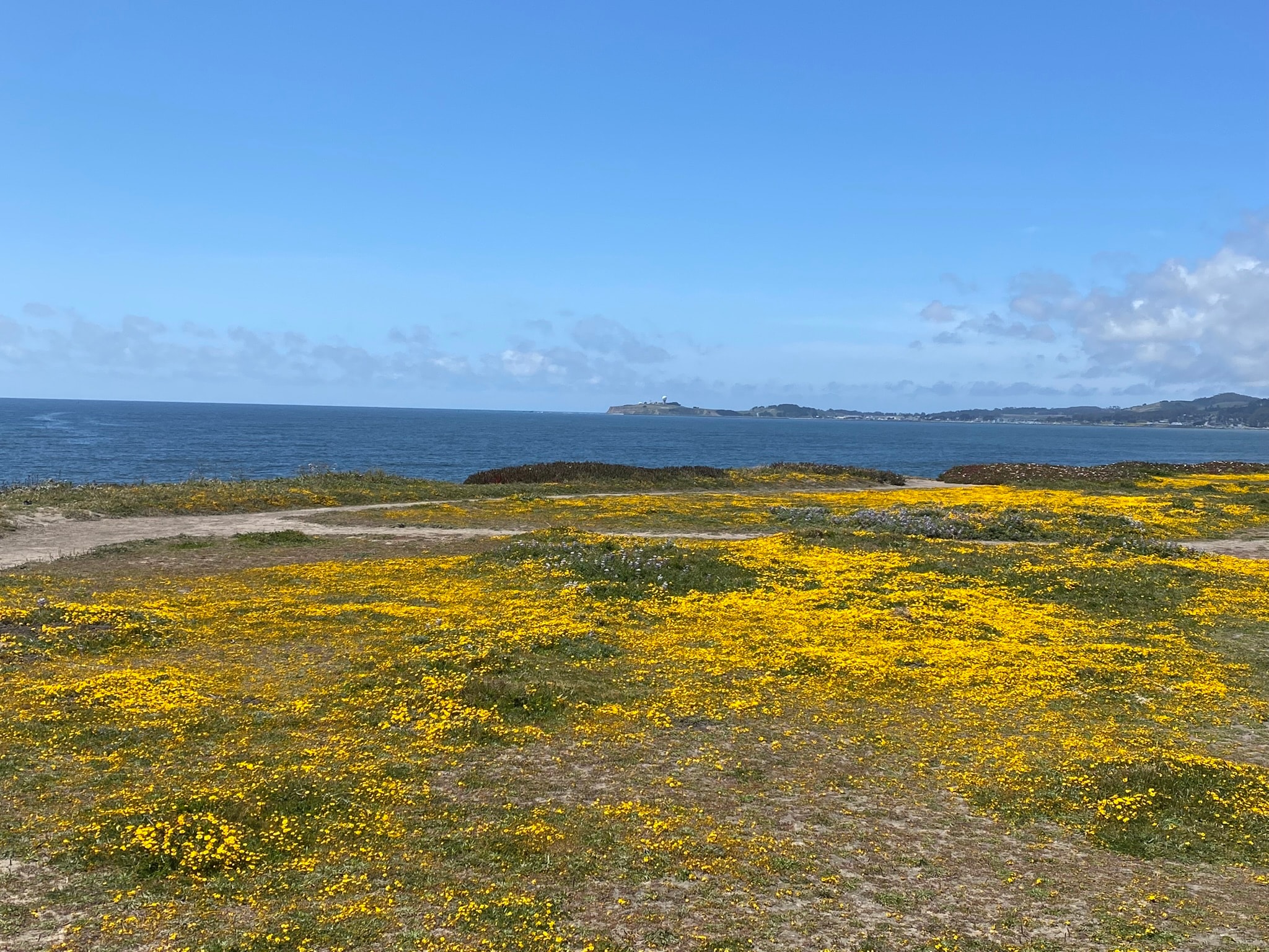 Half Moon Bay coastline and Pacific Ocean cliffs